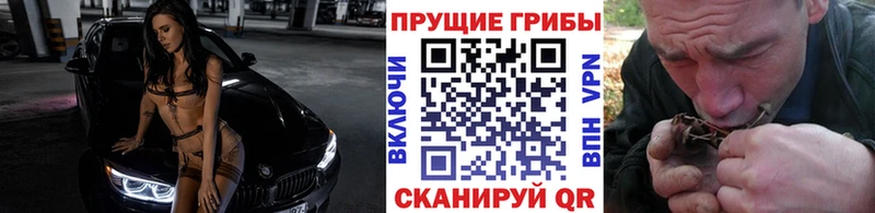 Галлюциногенные грибы Psilocybine cubensis  Дивногорск 