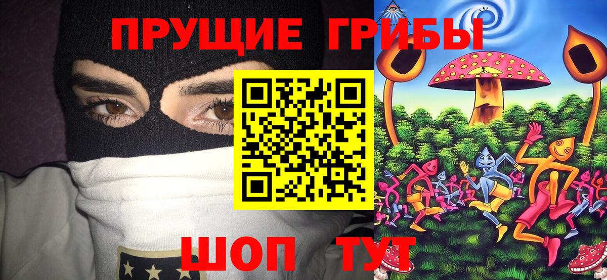 Галлюциногенные грибы Дивногорск