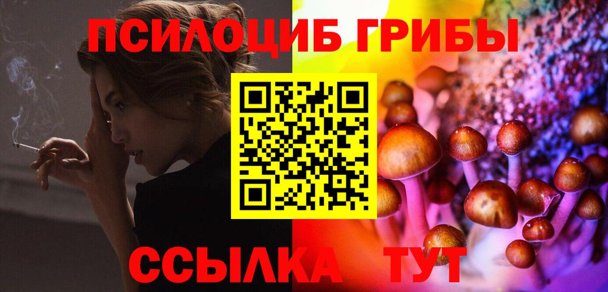 Псилоцибиновые грибы Psilocybe  цена   Вход с VPN  Дивногорск  Псилоцибиновые грибы GOLDEN TEACHER 