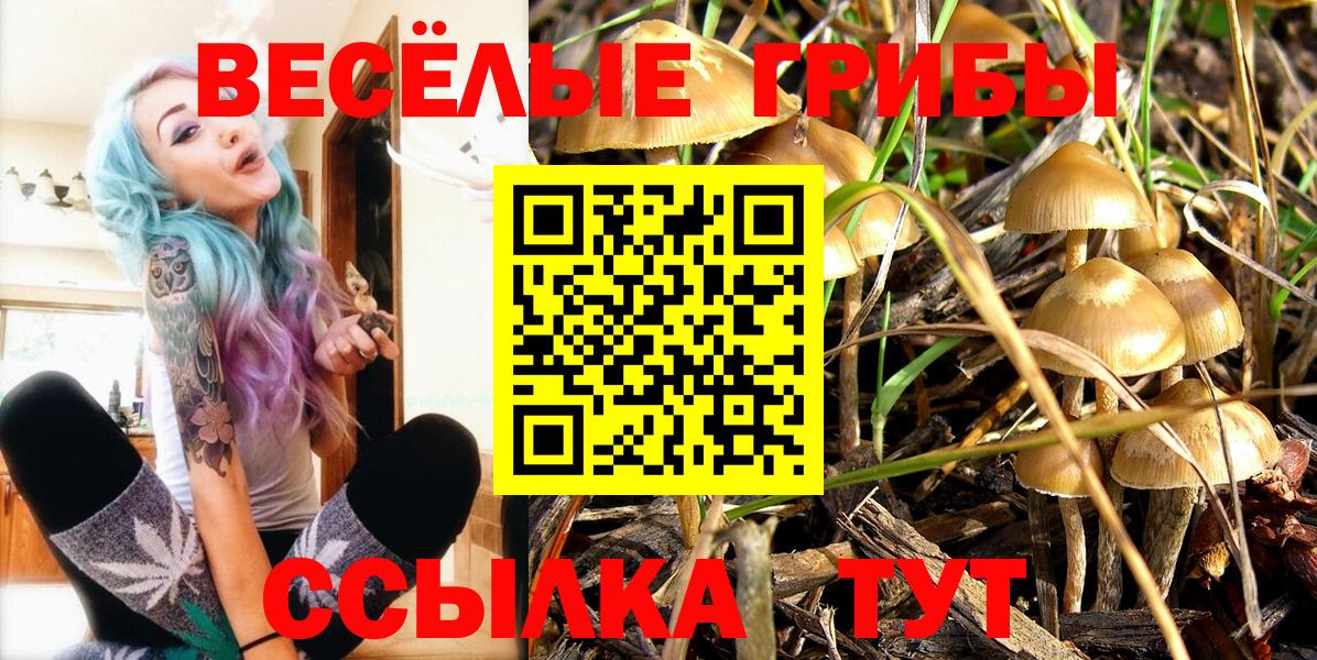 Псилоцибиновые грибы Psilocybine cubensis Дивногорск